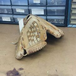 Baseball Mitt-Before